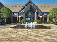 �����Ǻ������